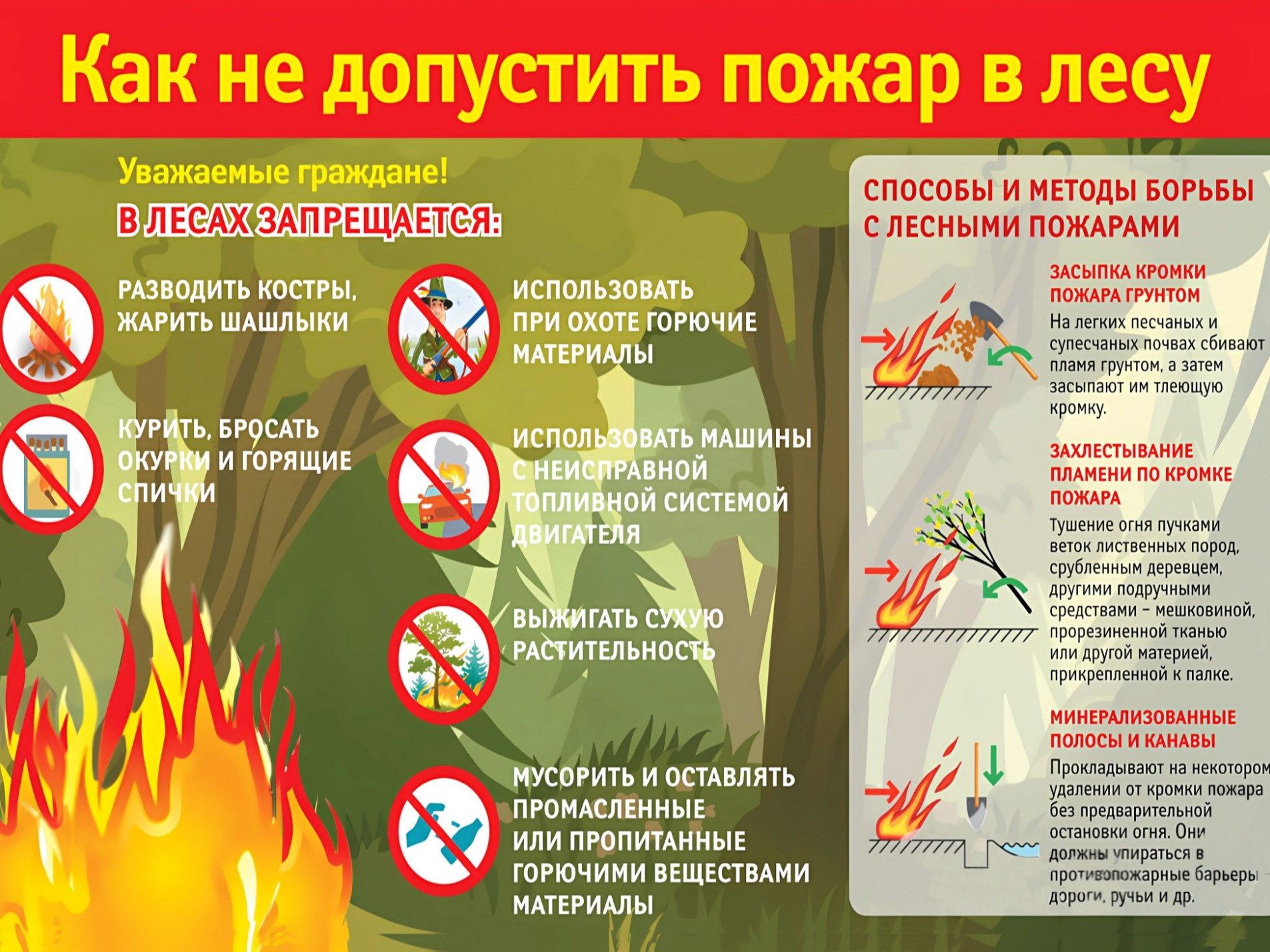 Правила противопожарной безопасности в лесу!.