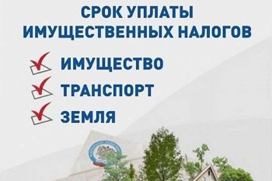 Заплатите имущественные налоги!.