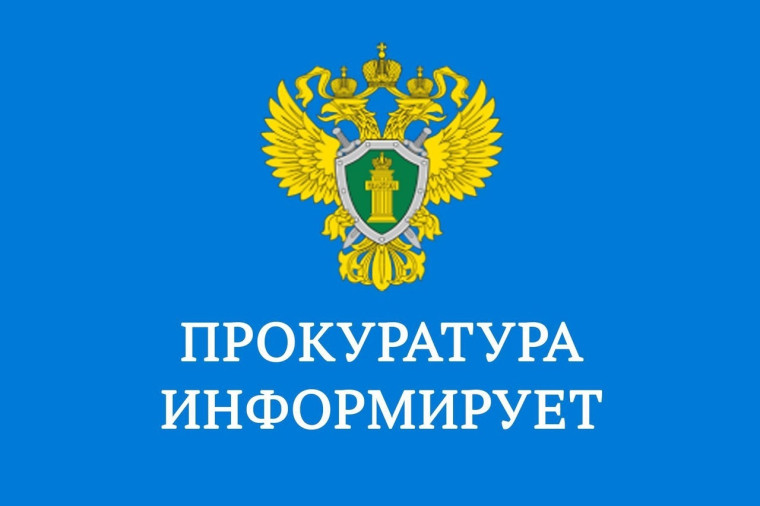 Какую ответственность несут те, кто передал свои банковские карты или номера телефонов для обналичивания похищенных денег?. Какую ответственность несут те, кто передал свои банковские карты или номера телефонов для обналичивания похищенных денег?.
